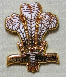 Royal Regiment of Wales Lapel Pin